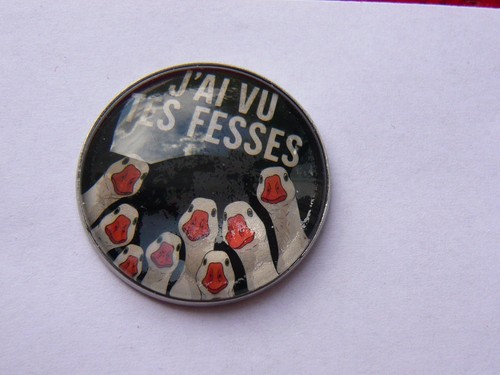 Pin dicton francais ai - ai, vu