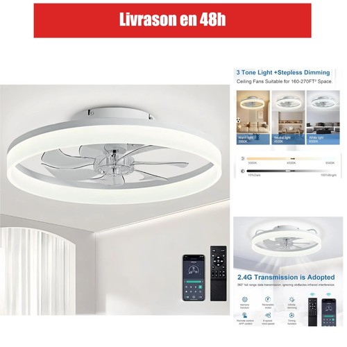 Ventilateur plafond - ventilateur, de