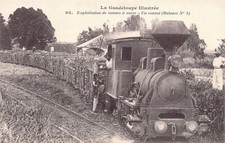 La Guadeloupe Illustrée - Locomotive Decauville sur une exploitation de cannes à