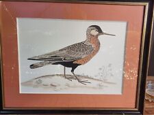 Tableau vintage aquarelle canard de Terronblan Monbaly Dayelle