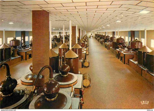 Carte postale cognac - cognac,