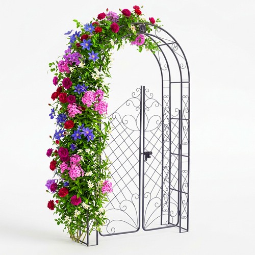 Arche roses de - à,