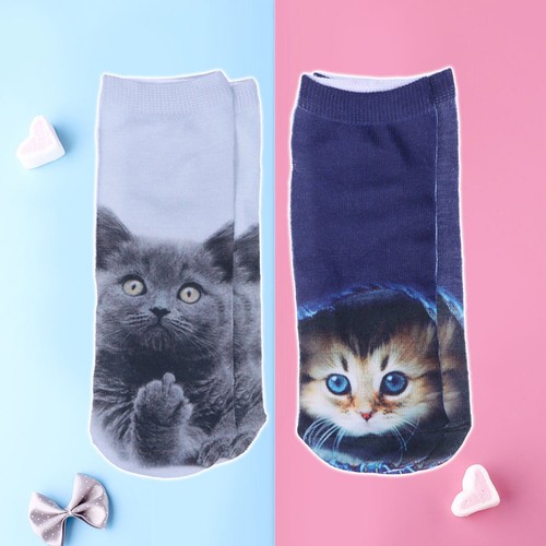Paires mode 3d - , chat