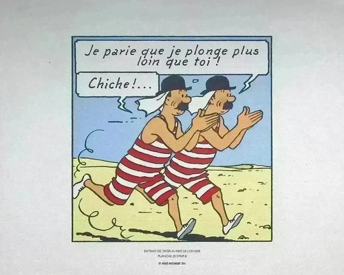 Hergé lithographies libris - lithographies,
