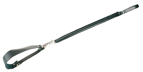 Collier laisse formation - collier, de