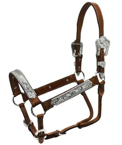 Licou cuir argentin avec - licou,