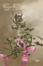 FANTAISE BONNE ANNEE BRANCHE DE HOUE 