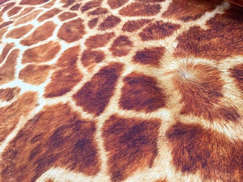 Tissu girafe imprimé - , animal