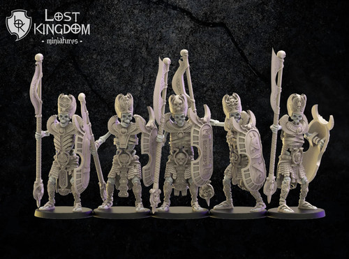 Guerriers rois des tombes - rois,