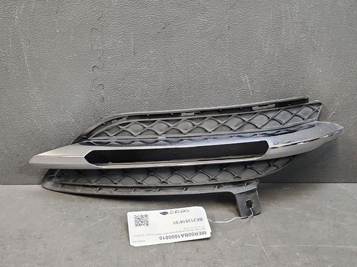 Grille feu diurne avant droite