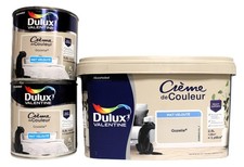 Lot Peinture DULUX VALENTINE