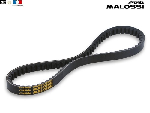 Courroie malossi xbelt - courroie,
