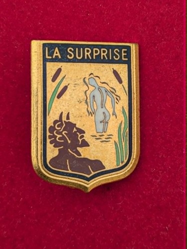 Insigne surprise frégate - insigne, la