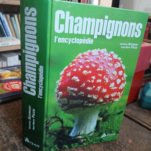 Champignons encyclopédie - champignons, l'encyclopédie