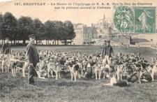 CHANTILLY - la Meute de l'équipage de S.A.R. Mgr le Duc de Chartres - le Château