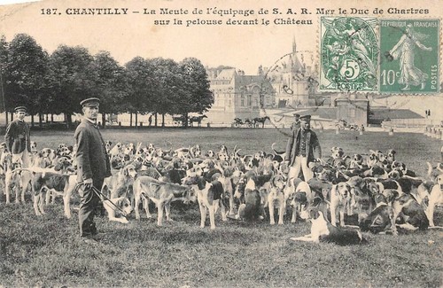 Chantilly meute de - la,