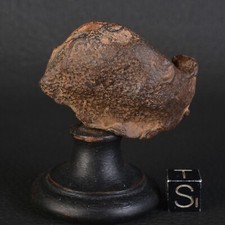 Météorite Gebel Kamil 89,65