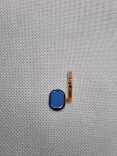 Lecteur empreinte bleu - lecteur,