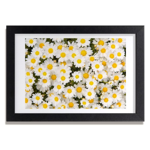 Tulup photo 30x20cm - photo, mdf
