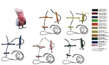 Bavoir Perroquet Cacatoès