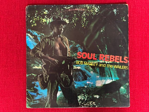 Bob marley the wailers - marley,