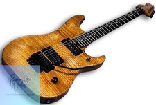 Washburn N4 USA MapleTop