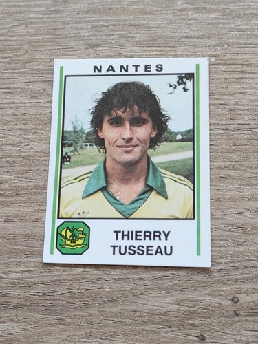 Vignette panini football - vignette,