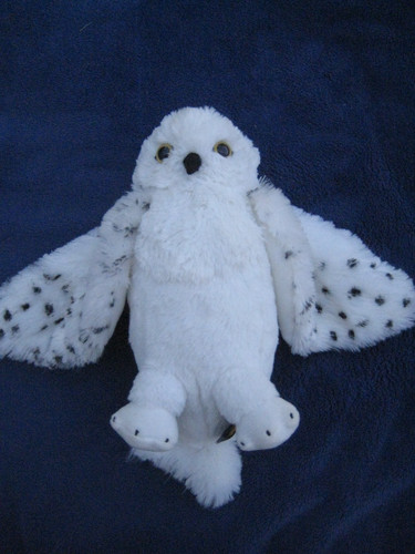 Harry potter peluche hedwige - harry,