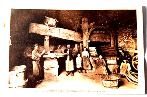Rare cpa les vendanges - ,