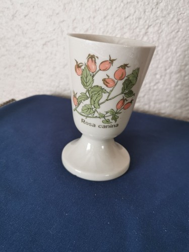 Mazagran tasse café en - mazagran,