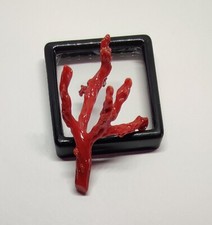 Unique branche de corail