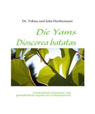 Die Yams Dioscorea batatas