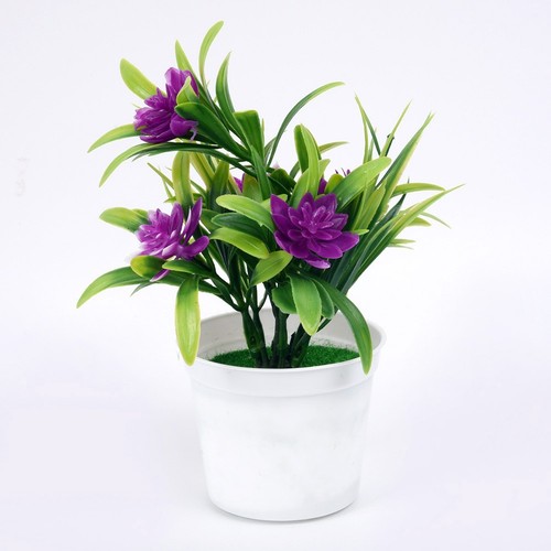 Succulent plante artisanats - succulent,