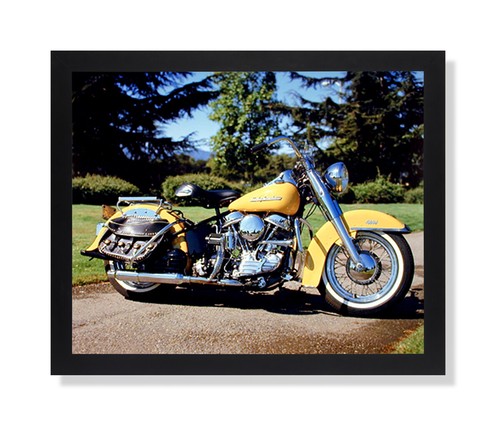 1954 panhead harley davidson - harley,