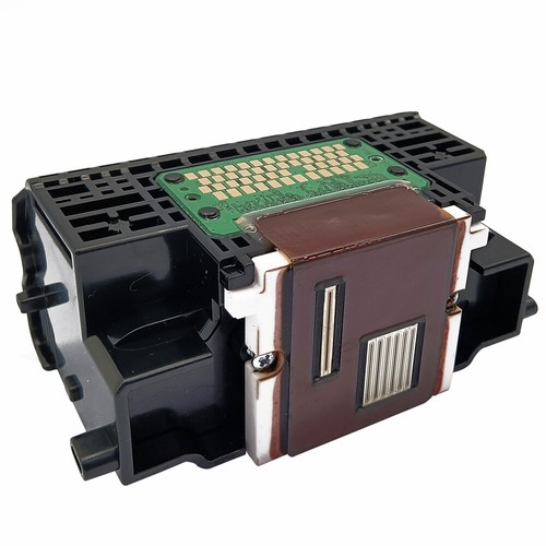 Qy6 0072 tête - qy6-0072,