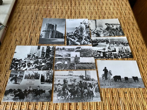 Lot cpa photo camargue - cpa,