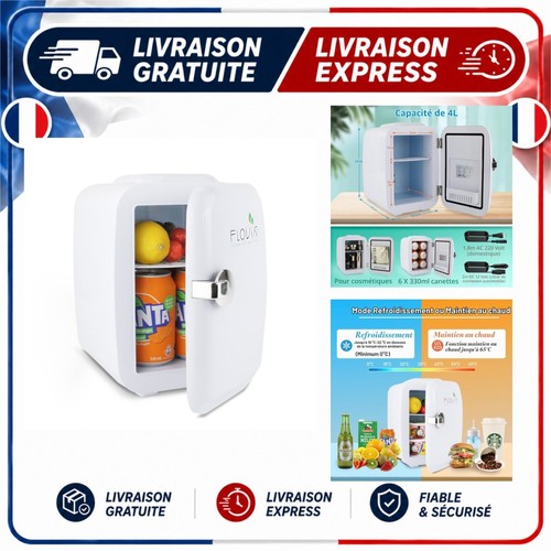 Mini réfrigérateur portable