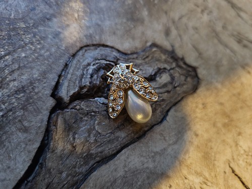 Broche pin insecte - pin's,
