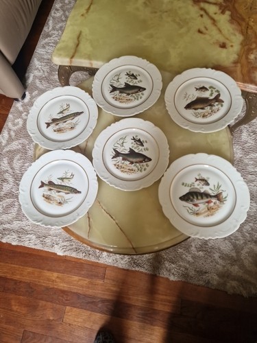 Assiettes plates décor - 6,