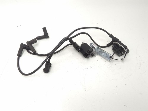 Bobine allumage ducati - bobine, 1000