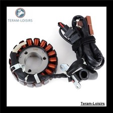 Stator pour Peugeot Satelis