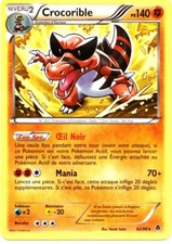 carte Pokémon 62/98