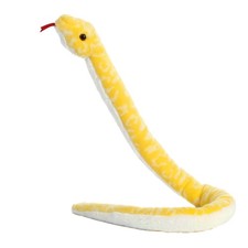 Aurora playful snake albino - playful,