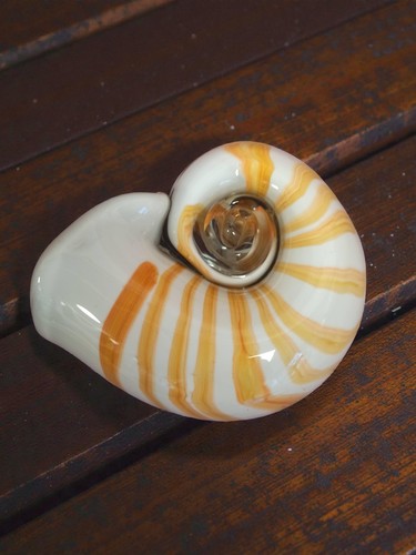 Vase coquillage murano - vase,