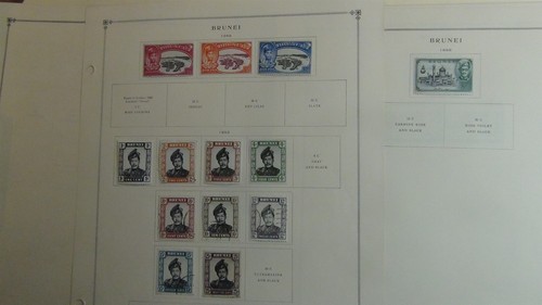 Stampsweis brunei tampon - stampsweis,