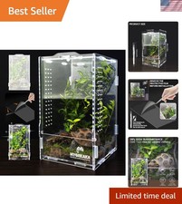 Transparent Acrylic Insect
