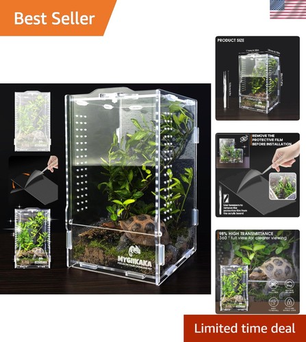 Transparent acrylic insect - transparent,