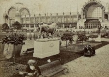 PARIS Exposition universelle 1878 Taureau Isidore Bonheur Photo Stereo Vintage 