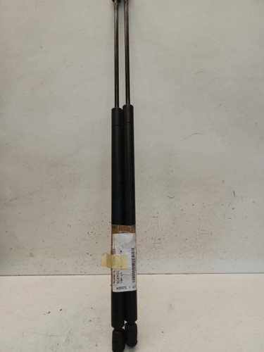 Verin coffre renault scenic - de,