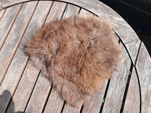 Peau lapin rabbit skin - peau,